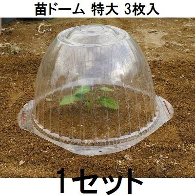 3枚入) 苗ドーム 特大 苗カバー 第一ビニール (zs30) : ザ・タッキー