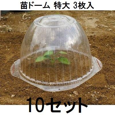 3枚入×10セット) 苗ドーム 特大 苗カバー 第一ビニール (zs30) : ザ