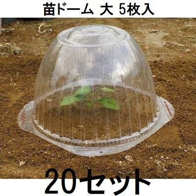ケース特価 5枚入×20セット) 苗ドーム 大 第一ビニール 苗カバー