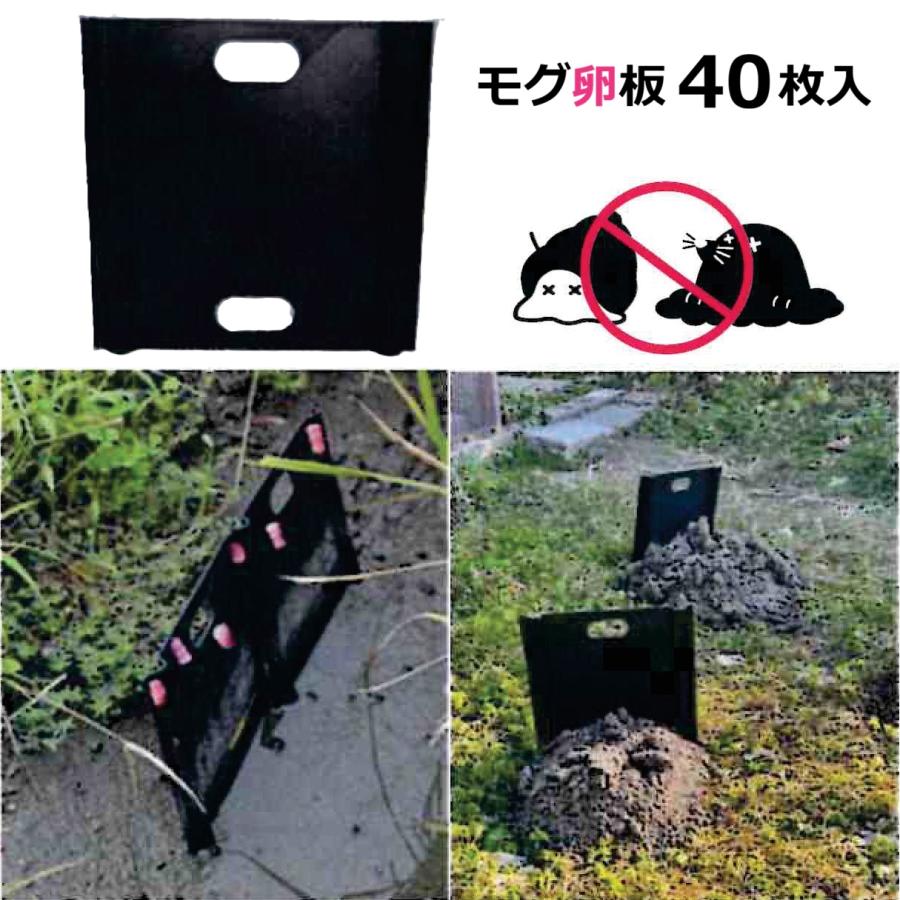 40枚入) モグ卵板（もぐらんばん） SPT300-A10 (10枚入×4個) 大栄工業