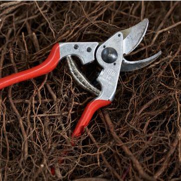 正規品 スイス製) フェルコ14 剪定鋏 FELCO14 全長180mm 切断18mm