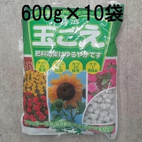 shukimura　送料分 日本酒通販】笑四季 センセーション 黒ラベル 生酒 おりがらみ 2024-25