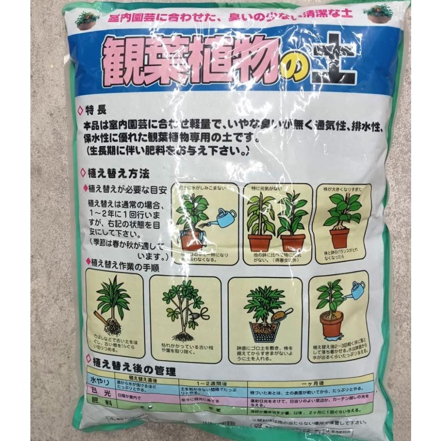 あかぎ園芸 観葉植物の土 5L zs : ザ・タッキーYahoo!店 - 通販