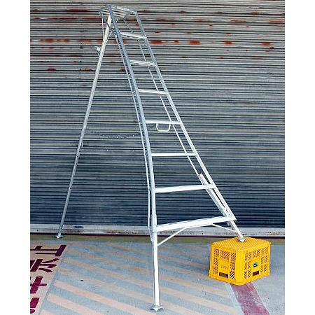 ハラックス アルステップ AMP-8 三脚脚立 (天板含めて8段 標準高240cm