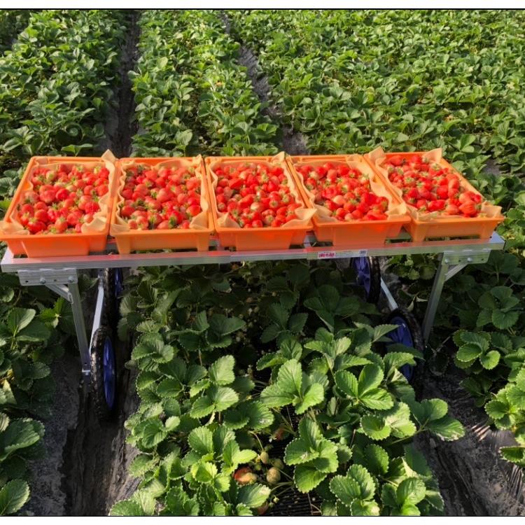 ハラックス 楽太郎 RA-2060 (ノーパンクタイヤ TR-14N装備) アルミ製