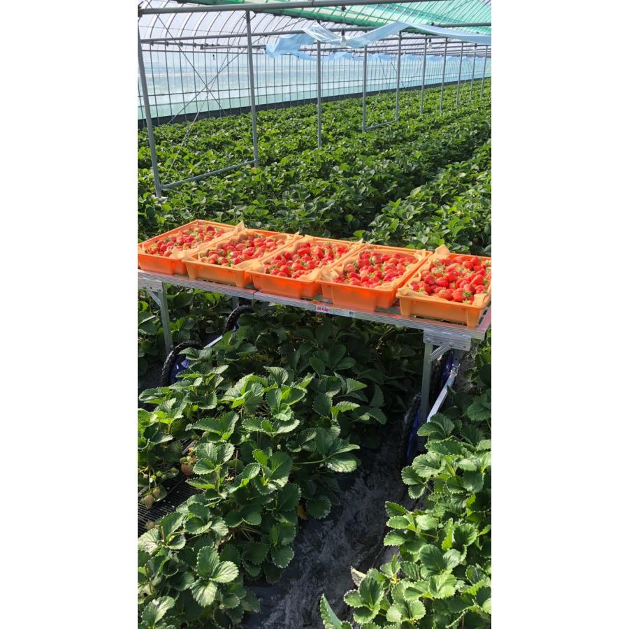 ハラックス 楽太郎 RA-2060 (ノーパンクタイヤ TR-14N装備) アルミ製