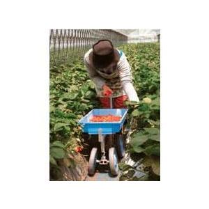 SALE!!【ブランド登録なし】ハラックス ベリコロ VC-60H (ノーパンクタイヤ TR-9M0×10.5装備) アルミ製 いちご収穫用台車 (個人宅配送可)　zs