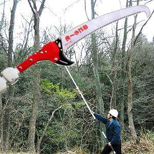 高速配送 ニシガキ 枝打ち一発 N 762 伸縮最長5ｍ Coim Zma1 メール便なら送料無料 Orientalweavers Com