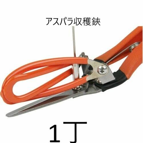 Saboten（サボテン） アスパラ収穫鋏 AG-21 アスパラ切鋏 (アスパラ鋏
