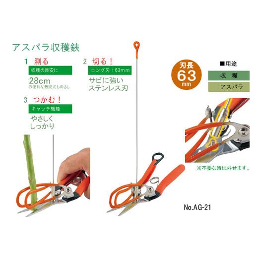 Saboten（サボテン） アスパラ収穫鋏 AG-21 アスパラ切鋏 (アスパラ鋏