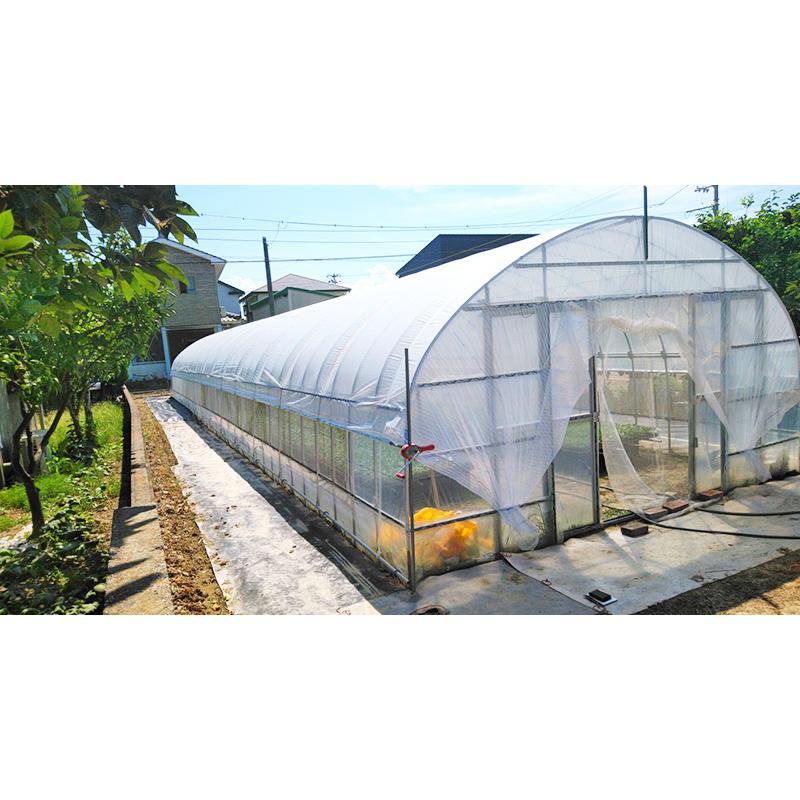 寒冷紗　ビニールハウス　畑　ふあふあ　6m × 35m 遮光率40% シルバー 寒冷紗ビニールハウスふあふあ6m × 35m 遮光率40% シルバー