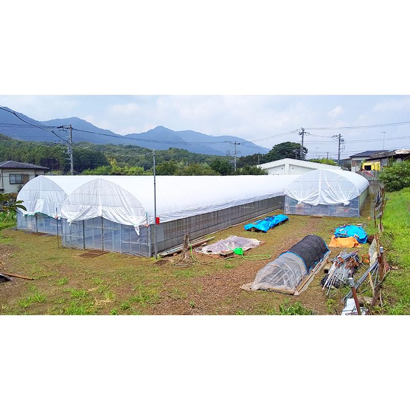 ふあふあホワイトプラス40 カット販売 遮光率40％ ハウス遮熱資材 遮光