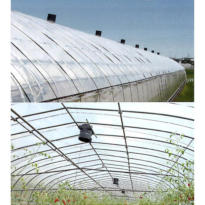 ビニールハウスファン ビニールハウスファン