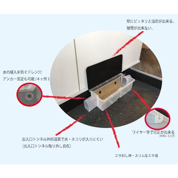 ピオニーコーポレーション 個人宅配送不可 (10個セット) ラットクル