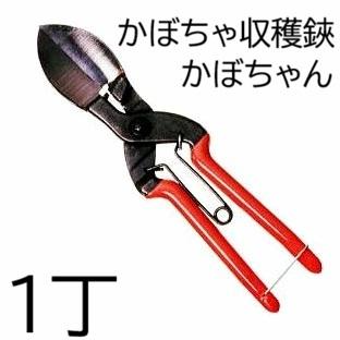 SUWADA（スワダ） 諏訪田製作所 かぼちゃ収穫鋏 かぼちゃん 210mm