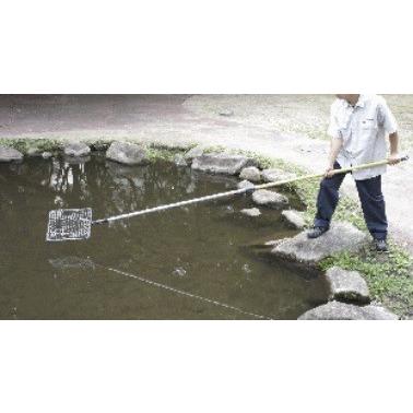 なごみページ CONVERSE ALL STAR BOARDERSTAR OX / SHINYAKOZUKA｜BILLY'S ENT