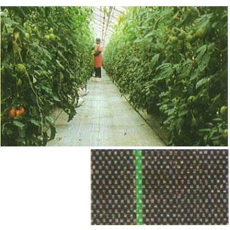 高耐久 防草シート) JPシート 幅 300cm×50m (色選択 黒or白黒or