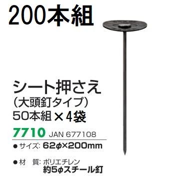 徳用200本セット) キンボシ シート押さえ φ62×200mm (大頭釘タイプ