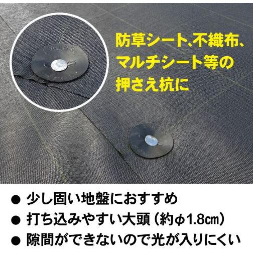 徳用200本セット) キンボシ シート押さえ φ62×200mm (大頭釘タイプ