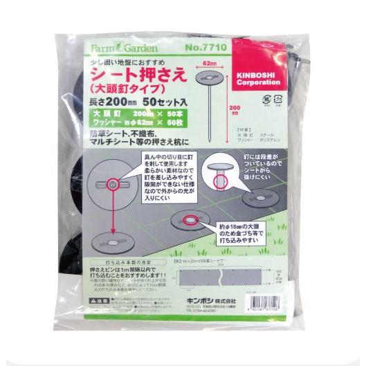 徳用200本セット) キンボシ シート押さえ φ62×200mm (大頭釘タイプ