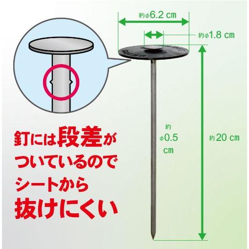 徳用200本セット) キンボシ シート押さえ φ62×200mm (大頭釘タイプ