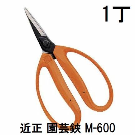 CHIKAMASA（近正） 園芸鋏 M-600 尖直刃 BP 大型摘果鋏 チカマサ : ザ