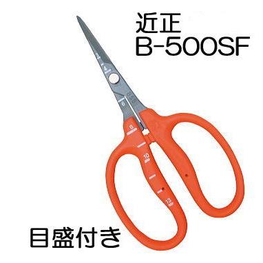 (メール便￥300可) (在庫あり) 近正 ぶどう鋏 B-500SF ステンレス フッソ加工 ぶどう手入れ鋏 目盛付き チカマサ｜tackey