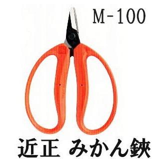 10丁迄メール便￥300可) 近正 みかん鋏 M-100 チカマサ (10丁迄