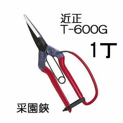 6丁迄メール便￥300可) 近正 菜園鋏 (采園鋏) T-600G ガード付き 大型