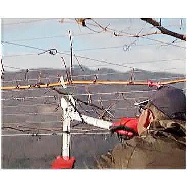 アルス 近正 ウルトラロッソ 倍力ロッパー LP-400 超軽量375g 全長