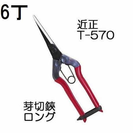 ともき asset-7116956-image-10646892.png