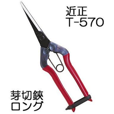 CHIKAMASA（近正） T-570 芽切鋏 ロング チカマサ (ネコポス) zm : ザ