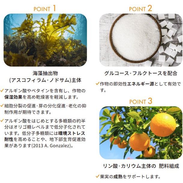 アルガミックス 1L入×12本 algamix 花・果実の乾燥・塩ストレスの軽減