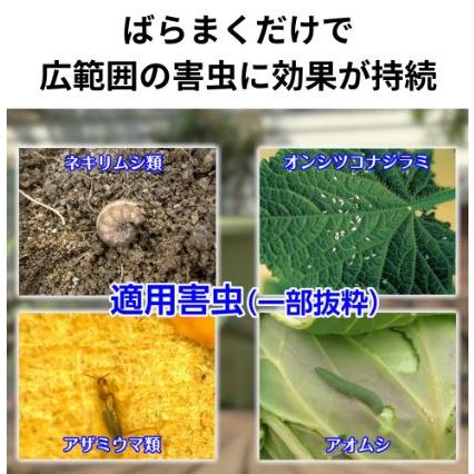 (60本ケース特価) 住友化学園芸 GFオルトラン粒剤 200g 害虫退治 殺虫剤 (法人個人選択)の画像
