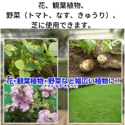 (60本ケース特価) 住友化学園芸 GFオルトラン粒剤 200g 害虫退治 殺虫剤 (法人個人選択)の画像