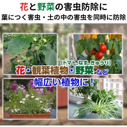 (60本ケース特価) 住友化学園芸 オルトランDX粒剤 200g 害虫退治 殺虫剤 (法人個人選択)の画像