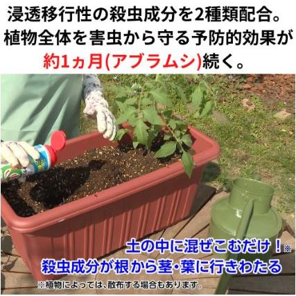 (60本ケース特価) 住友化学園芸 オルトランDX粒剤 200g 害虫退治 殺虫剤 (法人個人選択)の画像