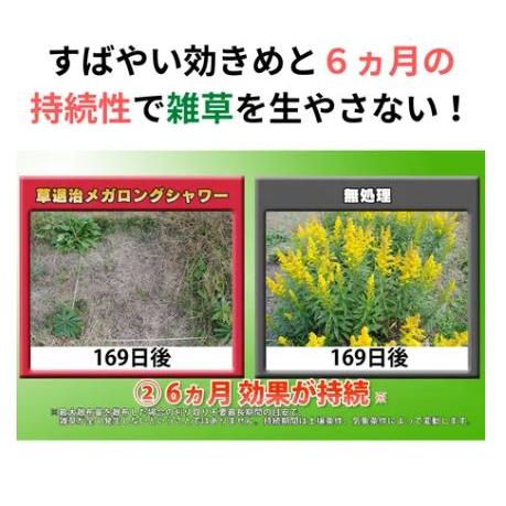 (8本セット ケース特価) 除草剤 草退治メガロングシャワー 2L 住友化学園芸 (法人個人選択)の画像