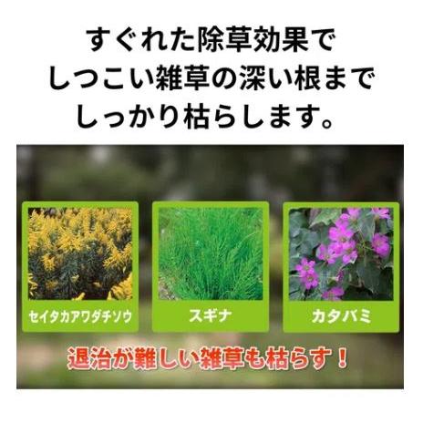 (8本セット ケース特価) 除草剤 草退治メガロングシャワー 2L 住友化学園芸 (法人個人選択)の画像