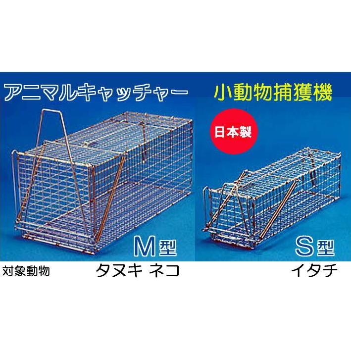 丸十金網　アニマルキャッチャー　M型　ジャンボ捕獲器　猫　イタチ　小動物捕獲器　餌吊式　日本製