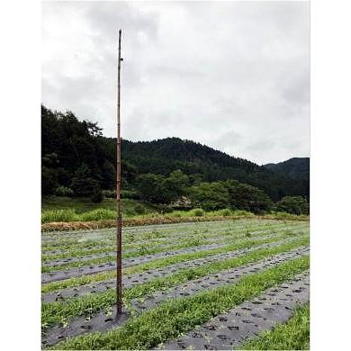 欠品中 5月末頃入荷予定 鳥獣丸 ヒヨドリ用 鳥獣被害対策品 動物が嫌がる波動を利用 Koim0074 ザ タッキーyahoo 店 通販 Yahoo ショッピング