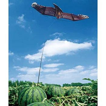 鳥追い カイト鷹 KD-180 (4mファイバーポール支柱付) 防鳥具 愛