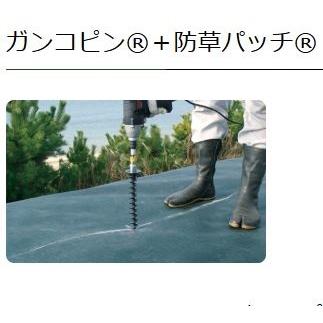 50本組セット) ザバーン ガンコピン150mm 50本+防草パッチ 50枚
