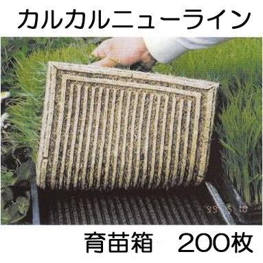 200枚セット特価) 育苗箱 カルカルニューライン 軽労化育苗箱 (法人