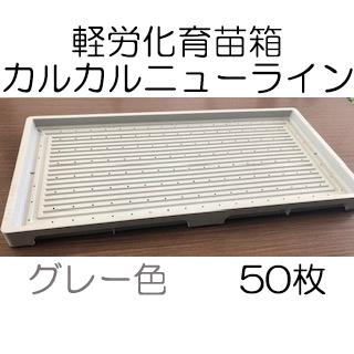 50枚セット) 育苗箱 カルカルニューライン グレー 軽労化育苗箱 (法人