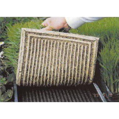 50枚セット) 育苗箱 カルカルニューライン グレー 軽労化育苗箱 (法人