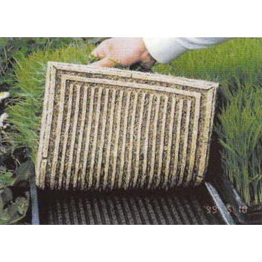 200枚セット) 育苗箱 カルカルニューライン グレー 軽労化育苗箱 (法人