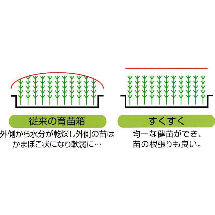 50枚セット) 育苗箱 すくすく 茶色 (中敷き不要) 軽労化育苗箱 お