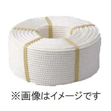 ビニロンSロープ 正丸・三打 φ4mm×200m 約2.0kg クレモナロープ (法人 