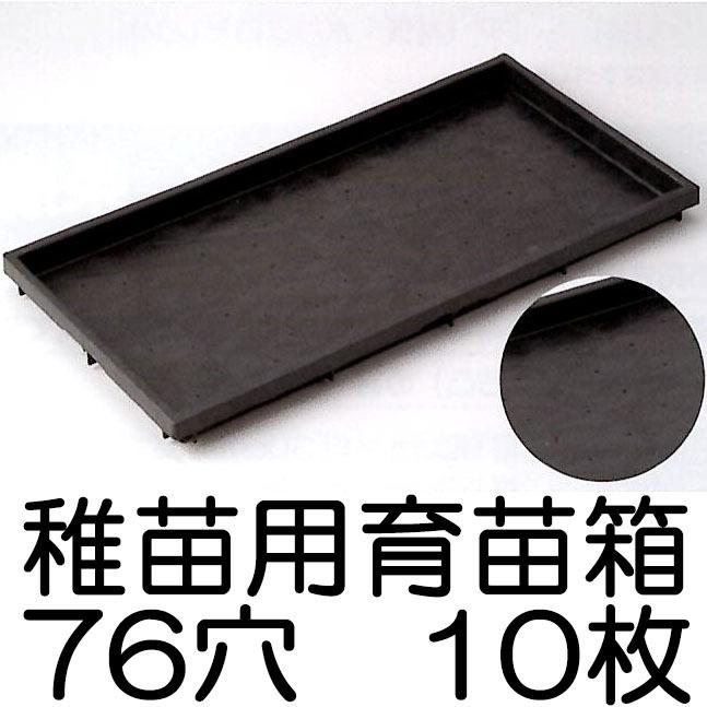10枚セット) 稚苗用育苗箱 76穴 水稲用 内寸580×280×30 (法人個人選択